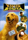 Постер: Король воздуха: Седьмая подача